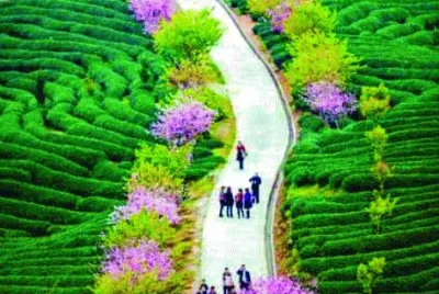 33 jigsaw puzzle