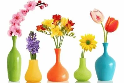 Solitarios con Flores jigsaw puzzle