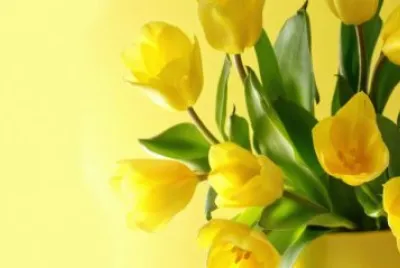 Flores Amarillas jigsaw puzzle