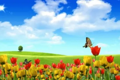Campo con Flores jigsaw puzzle