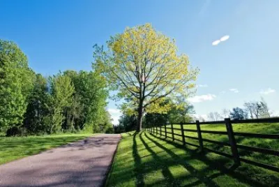 Campo