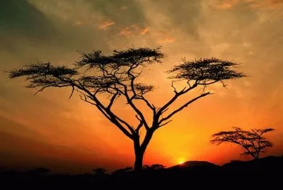 Atardecer