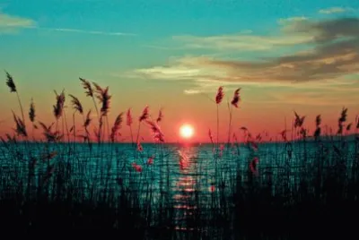 Atardecer jigsaw puzzle