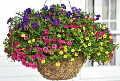 Flores jigsaw puzzle