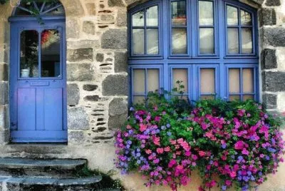 Window