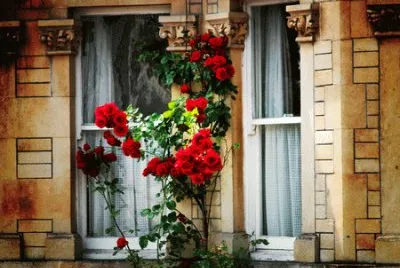Window jigsaw puzzle