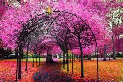 imagem jigsaw puzzle