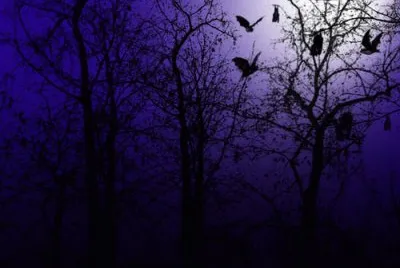 Nocturno1