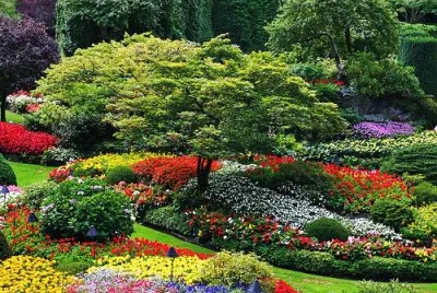 èŠ±åœ’