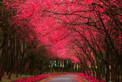 autumn 324