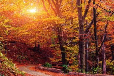 fall