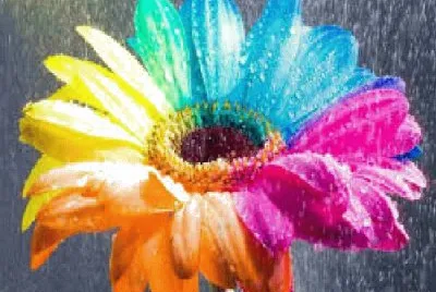 Flores jigsaw puzzle