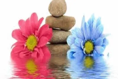 Flores jigsaw puzzle