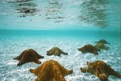 PAISAJES