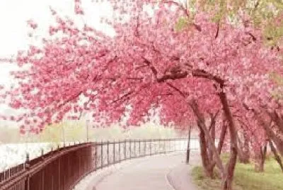 PAISAJES jigsaw puzzle