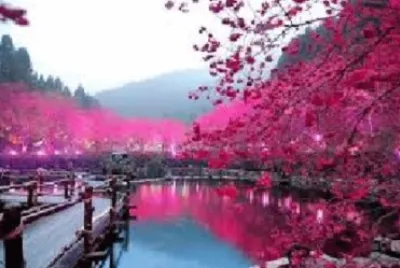 PAISAJES jigsaw puzzle