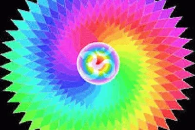 lily6