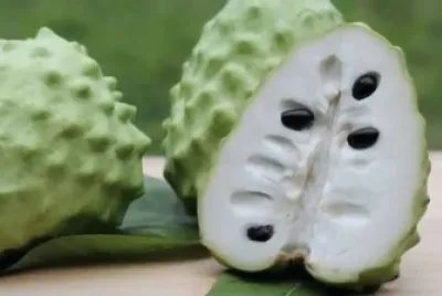 é³³æ¢¨é‡‹è¿¦