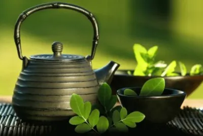 èŒ¶å…·