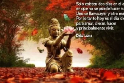MEDITACION jigsaw puzzle