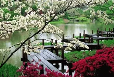 EL JARDIN JAPONES