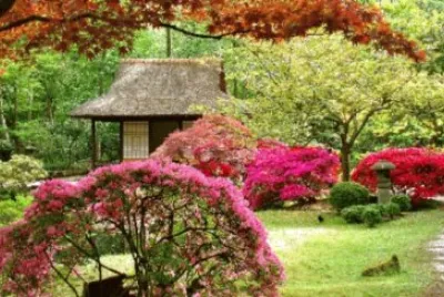 EL JARDIN JAPONES
