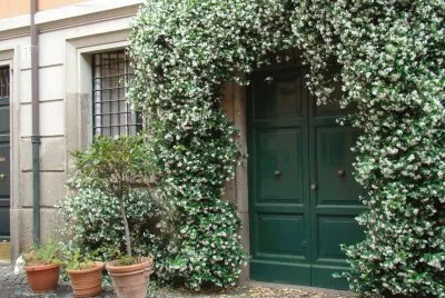 Roma