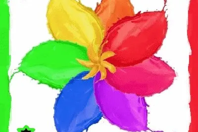 lily6