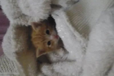 mi pequeÃ±o Noa