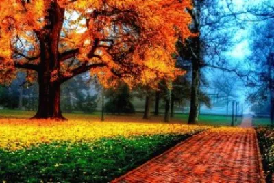 PAISAJES