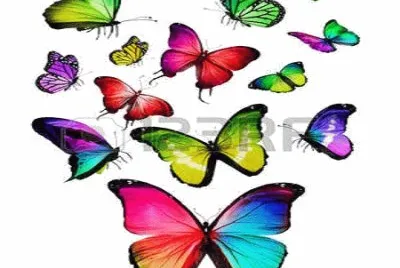 FOTO jigsaw puzzle