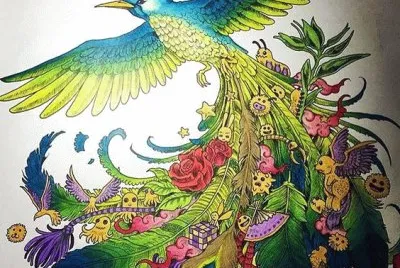 Colored Bird