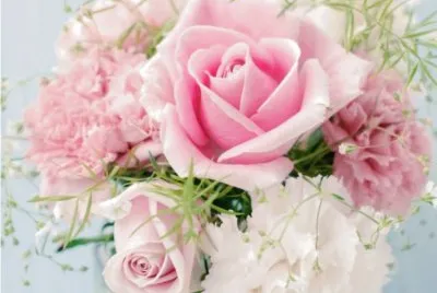 Roses