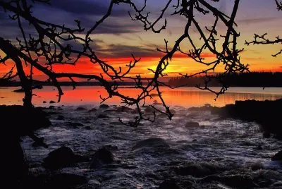 Barrington River jigsaw puzzle