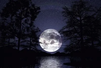 Luna5
