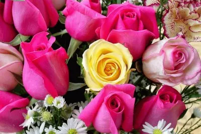 flowers