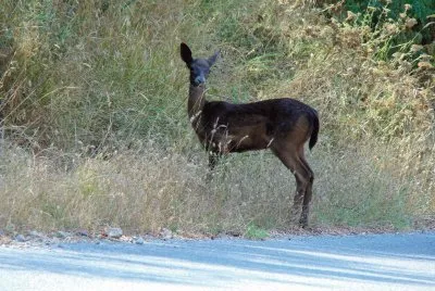 Liguria