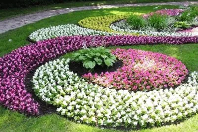 swirl