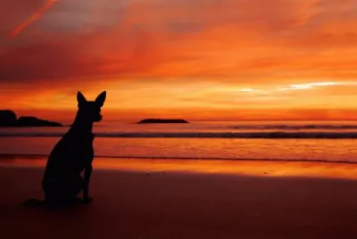 Atardecer