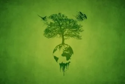 Ãrbol   Tierra