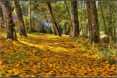 Lugares MAGICOS !!!!!!!