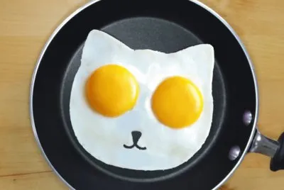 è›‹æ–™ç†