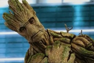 groot 2