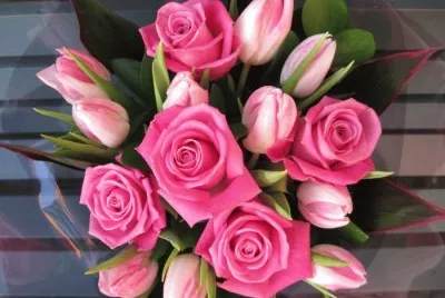 rose