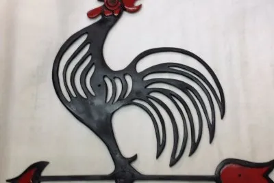 Gallo calado