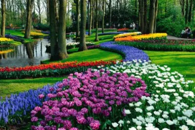 Jardin keuke