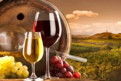 Vino al natural