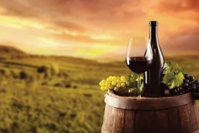 Atardecer con vino