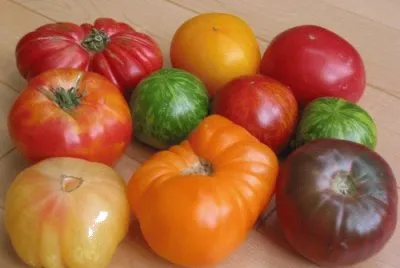 ç•ªèŒ„å°è–å¥³