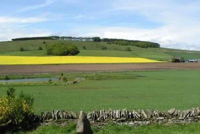 Dunnichen Moss Hill